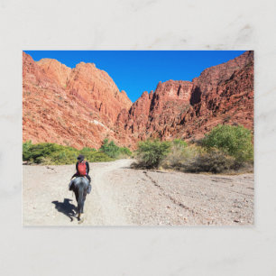 Recorriendo los valles de Tupiza, Bolivia. Postcard