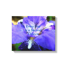 REcovery Poster