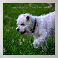 Recovery Tomorrow Poster