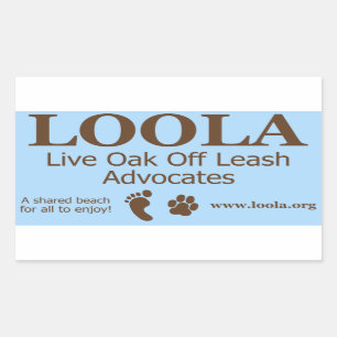 Rectangle Sticker: LOOLAorg Rectangular Sticker
