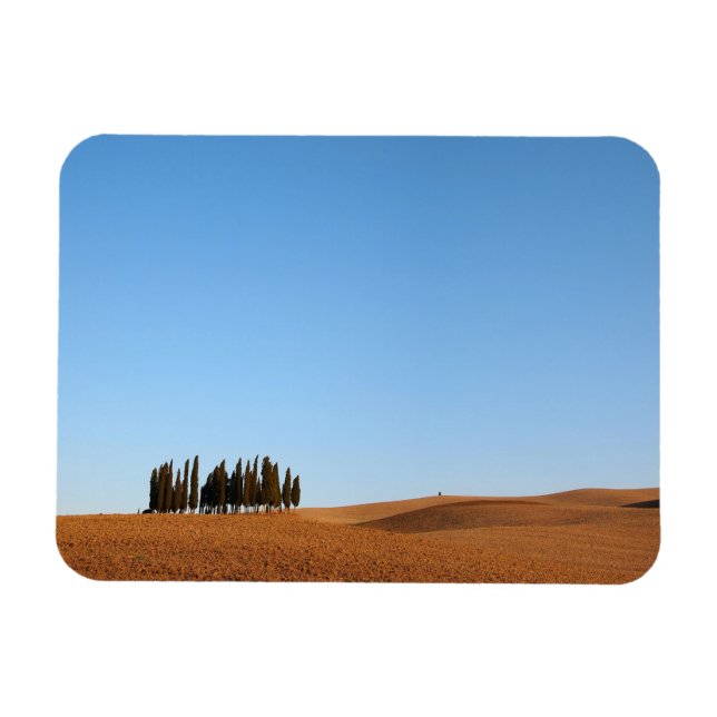 Rectangular Tuscany landscape magnet with cypress (Horizontal)