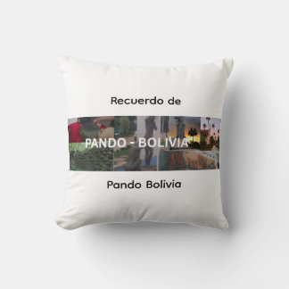 Recuerdo de Pando Bolivia Cushion
