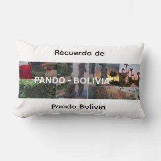 Recuerdo de Pando Bolivia Lumbar Cushion