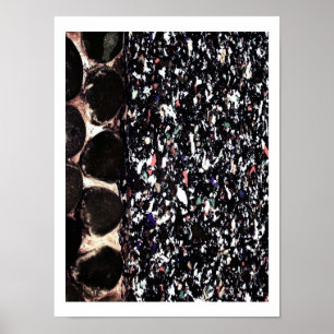 Recycle ~ Pring / Poster / Photography