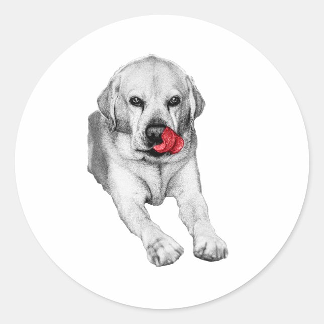 Red accent Lab smile Classic Round Sticker (Front)