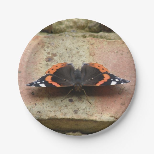 REd Admiral Butetrfly  Paper Plate (Front)