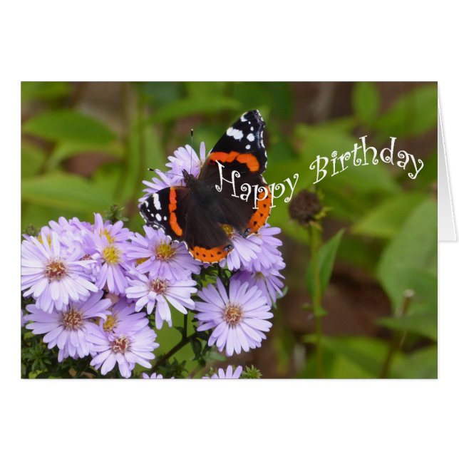 Red Admiral butterfly (Front Horizontal)