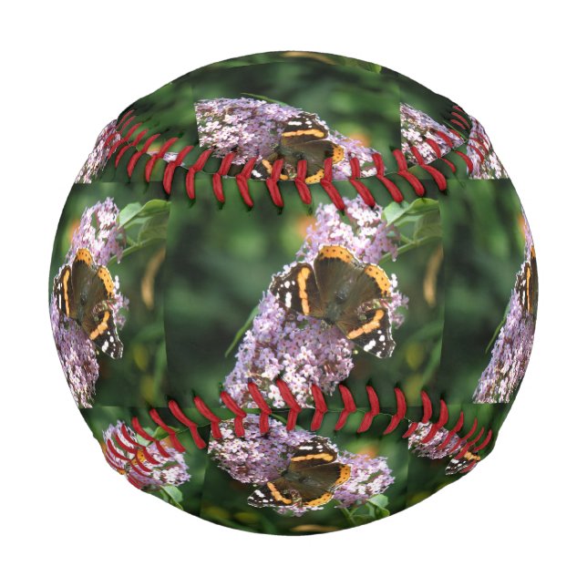 Red Admiral Butterfly and Buddleia Baseball (Front)