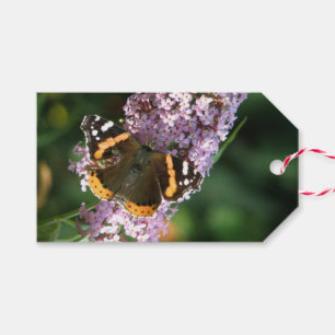 Red Admiral Butterfly and Buddleia Custom Gift Tag