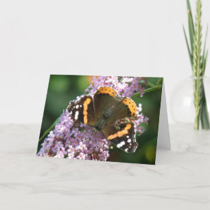 Red Admiral Butterfly and Buddleia Greeting Card