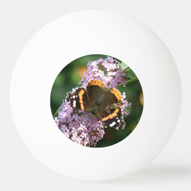 Red Admiral Butterfly and Buddleia Ping Pong Ball (Front)