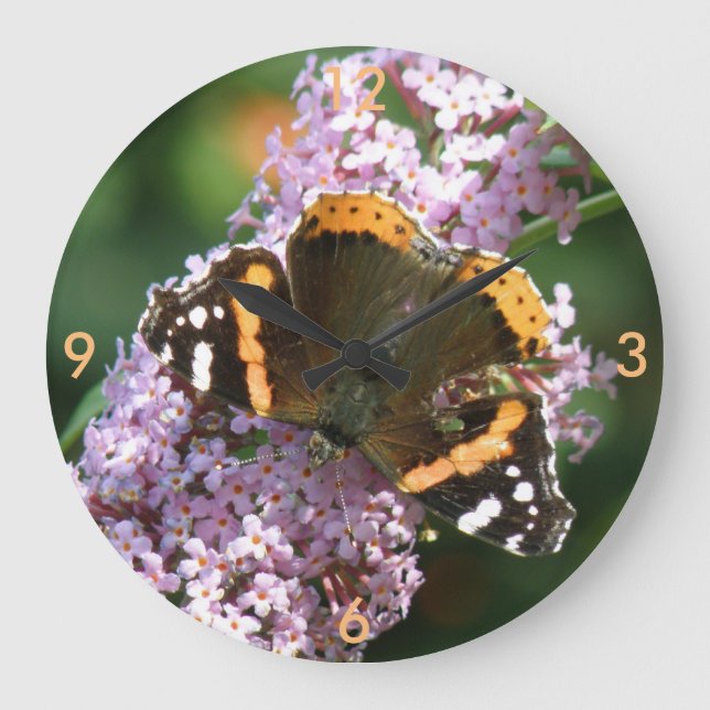 Red Admiral Butterfly and Buddleia Wall Clock (Front)