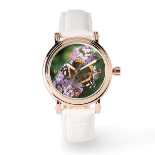 Red Admiral Butterfly and Buddleia Watch