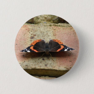 Red Admiral Butterfly Button