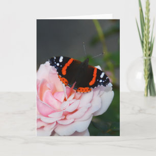 Red Admiral butterfly Card