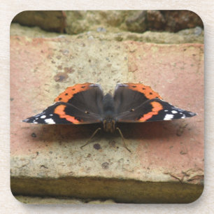 Red Admiral Butterfly Cork Coasters