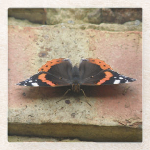 Red Admiral Butterfly Glass Coaster