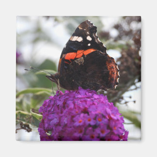 Red admiral butterfly magnet