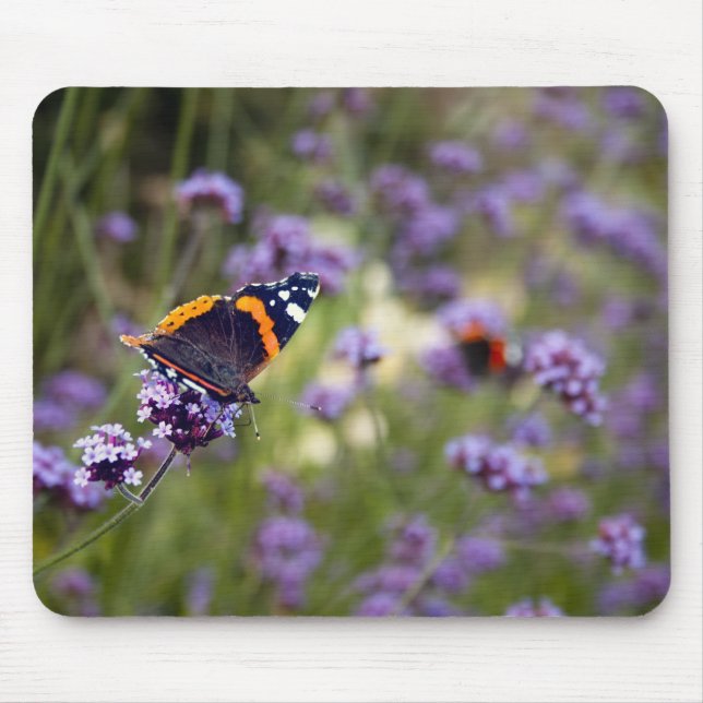 Red Admiral Butterfly Mouse Pad (Front)