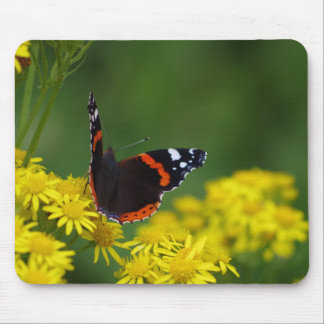 Red Admiral Butterfly Mousepad