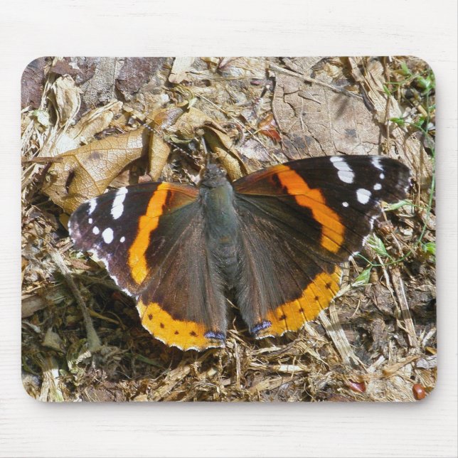 Red Admiral Butterfly Mousepad (Front)