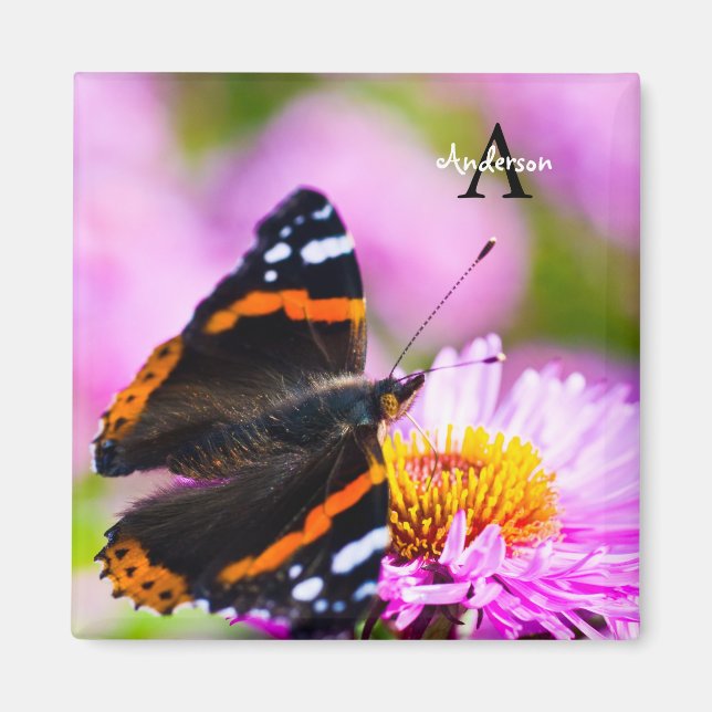 Red Admiral butterfly on a flower Magnet (Front)
