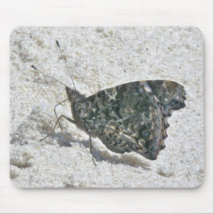 Red Admiral Butterfly on Beach Coordinating Items Mouse Pad