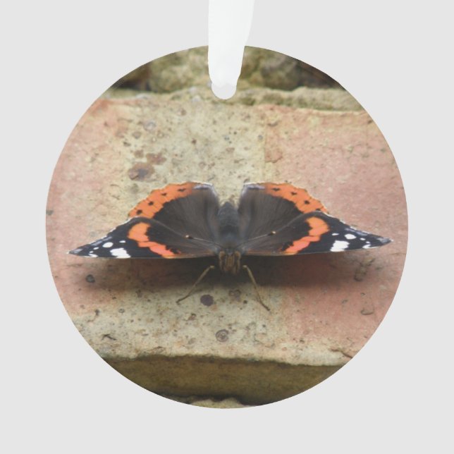Red Admiral Butterfly Ornament (Front)