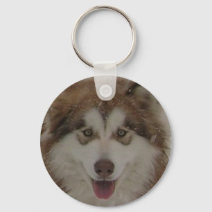 Red Alaskan Malamute keychain