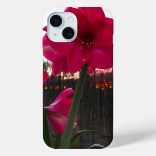 Red Amaryllis and Winter Sunrise iPhone 15 Case