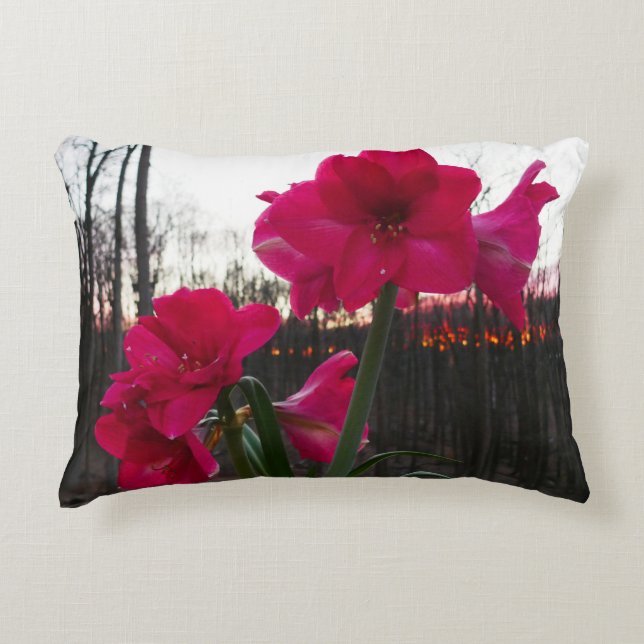Red Amaryllis and Winter Sunrise Decorative Cushion (Front)
