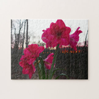 Red Amaryllis and Winter Sunrise Jigsaw Puzzle