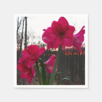 Red Amaryllis and Winter Sunrise Napkin