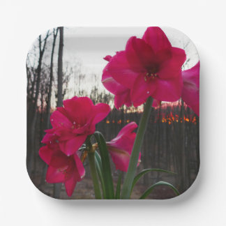 Red Amaryllis and Winter Sunrise Paper Plate