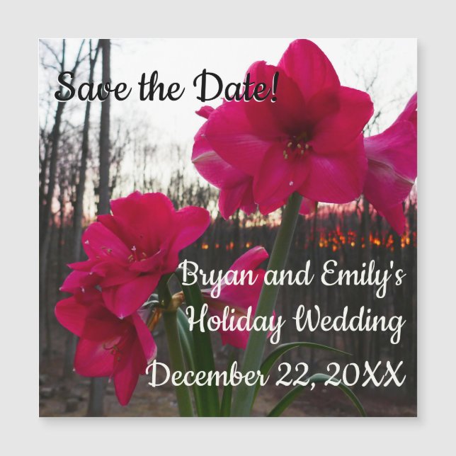 Red Amaryllis and Winter Sunrise Save the Date (Front)