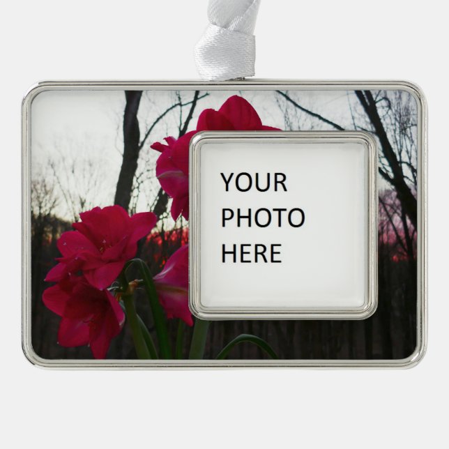 Red Amaryllis and Winter Sunrise Silver Plated Framed Ornament (Front)