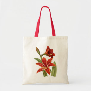 Red Amaryllis Botanical Print Tote Bag