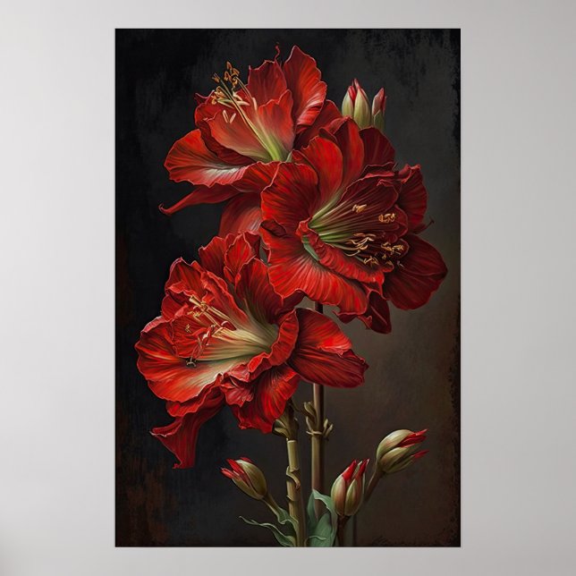 Red Amaryllis Flower Art Print Poster (Front)
