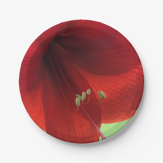 Red Amaryllis Flower Paper Plates (Front)