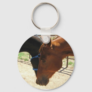 Red and Black Horse Friends Share a Secret Key Ring