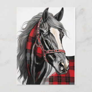 Red and Black Plaid Horse Postcard