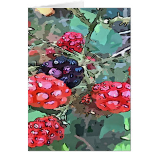 Red and Black Raspberries