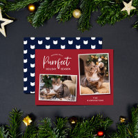 Red and Blue Cat Face Purrfect Holiday Photo