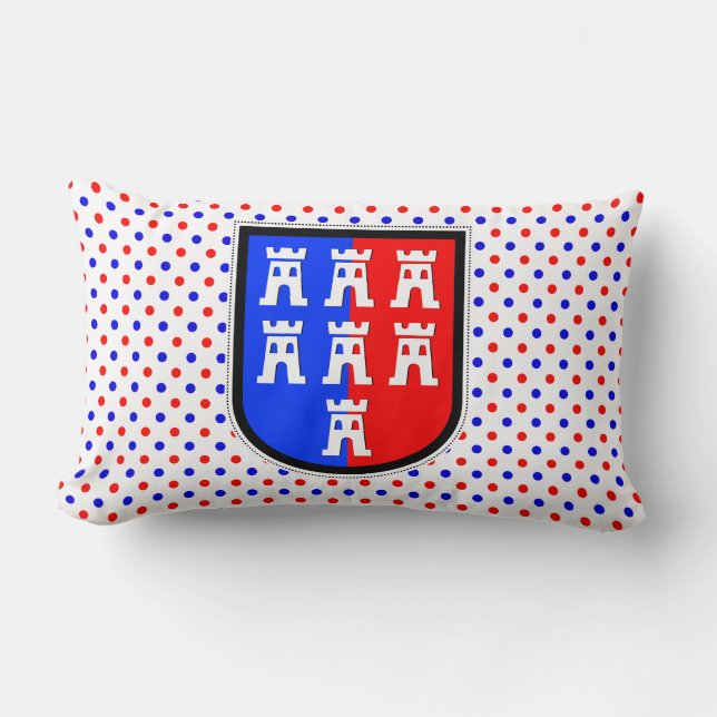 Red and Blue, it has to be Lumbar Cushion (Front)