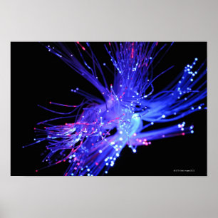 Red and blue light from fibre optic poster