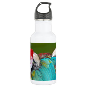 Red and blue macaw parrot print 532 ml water bottle