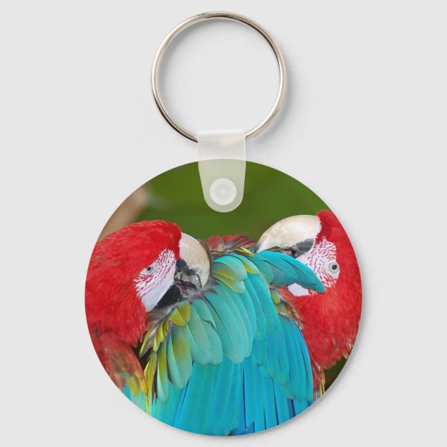 Red and blue macaw parrot print key ring (Front)