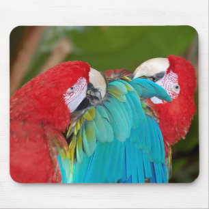 Red and blue parrots print mousepad