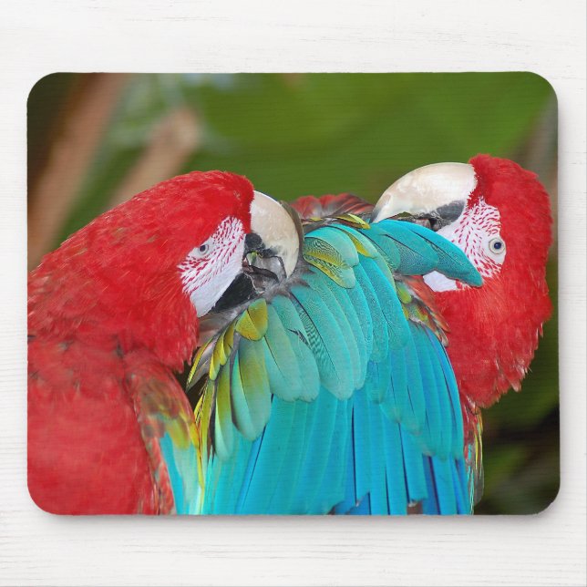 Red and blue parrots print mousepad (Front)