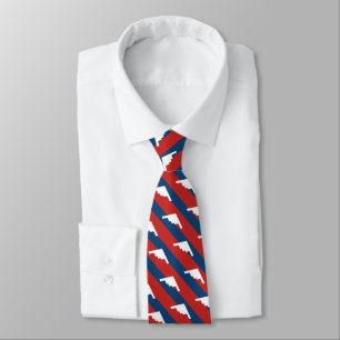 Red and Blue Stripe B2 Bomber Pattern Tie